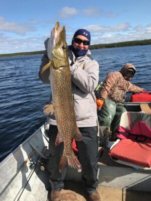 43 Inch Northern Pike from Reindeer Lake