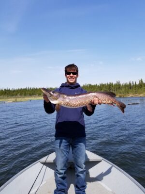 Displaying his Catch from Reindeer Lake