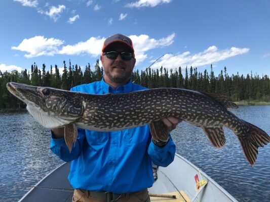 Fisherman holding Large Northern Pike