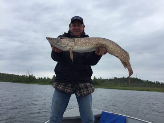 Man displaying Northern Pike Caught in Reindeer Lake