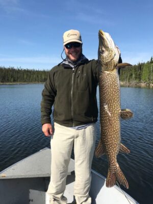 Northern Pike from Reindeer Lake