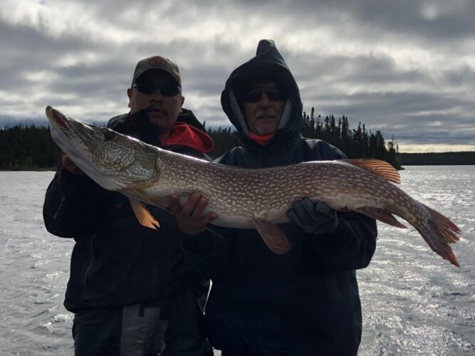 2 Men Showing Off Large Northern Pike