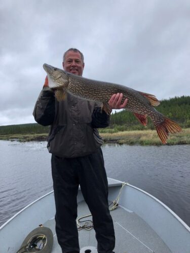 Fish Caught in Reindeer Lake