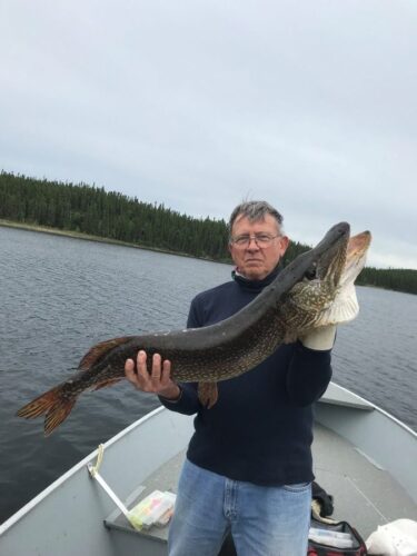 Man Holding Northern Pike