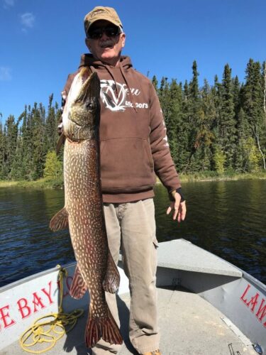 Northern Pike caught in Reindeer Lake
