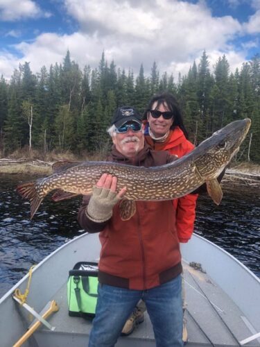 Large Northern Pike