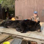 Person sitting next to a large black bear lying on a table outdoors, with a building in the background.