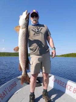 Man standing on a boat holding up a large fish with water and trees in the background under a clear blue sky.
