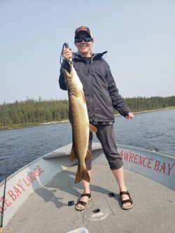 Person standing on a boat holding a large fish, with a forested shoreline visible in the background.