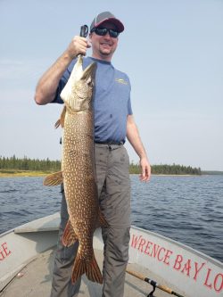Man standing on a boat holding a large fish vertically by the mouth, with water and shoreline in the background.