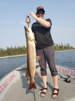 Person standing on a boat holds up a large northern pike fish with a gripper, smiling at the camera.
