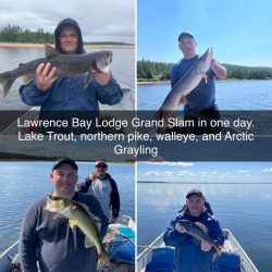 Four men each hold a different fish on a boat and lakeshore, showcasing their catches at Lawrence Bay Lodge.