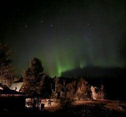 Green northern lights in the night sky above trees and a small cabin with outdoor lights.