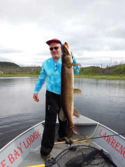 A person stands on a boat holding a large fish upright, with a lake and trees visible in the background.