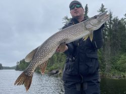Person in outdoor gear holding a large fish near a forested lake on a cloudy day.