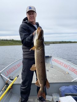 Person standing on a boat holding a large fish, with fishing gear visible and water and trees in the background.
