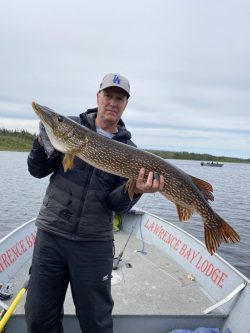 Man standing in a boat holds a large fish; "LAWRENCE BAY LODGE" is visible on the boat's sides.