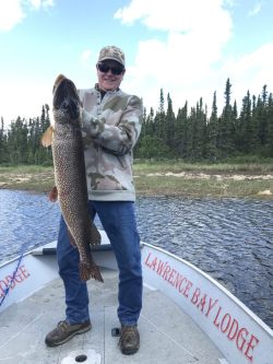 Person standing on a boat holding a large fish, with trees and water in the background. "Lawrence Bay Lodge" text visible.