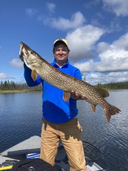 Person standing in a boat on a lake holding a large northern pike fish with trees and blue sky in the background.
