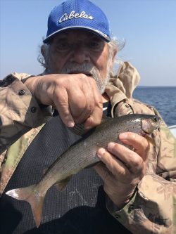 Older man in a blue Cabela's cap holds a small fish in both hands by a body of water on a clear day.