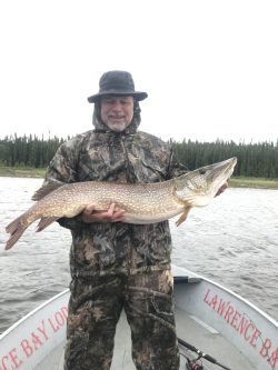 Person in camouflage holds a large northern pike fish on a boat with a forested shoreline in the background.