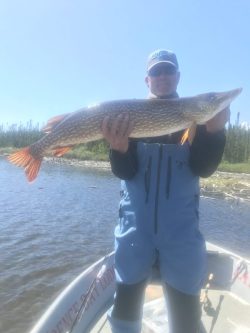 Person standing in a boat holding a large fish with both hands; water and trees are visible in the background.