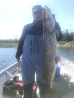 Person standing on a boat holding a large fish vertically beside them with water and trees in the background.