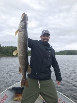 A man standing in a boat holds up a large fish with one hand on a cloudy day, with trees and water in the background.