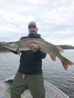 Man standing in a boat holding a large northern pike fish with a lake and trees in the background.