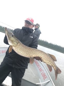 Person in a rain jacket holding a large fish on a boat, with another person and a forested shoreline in the background.