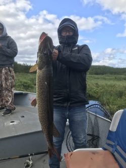 Person in a hooded jacket and glasses holding a large fish on a boat with grassy landscape in the background.