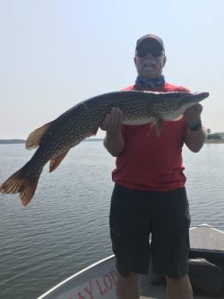 Person standing on a boat holding a large fish with water and distant shoreline in the background.