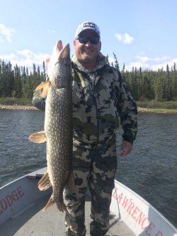 Man in camouflage clothing holds a large fish on a boat in a lake with trees in the background.