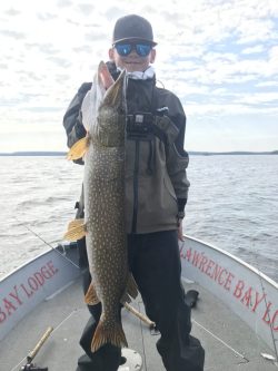 Person standing on a boat holds a large northern pike in front of their body, with water and sky in the background.