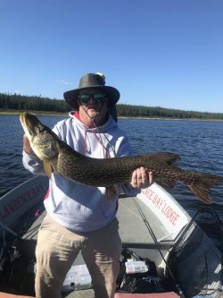 Person in a hat and sunglasses holding a large fish on a boat, with water and treeline in the background.