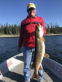Man standing on a boat holding a large fish with a forested shoreline and blue sky in the background.
