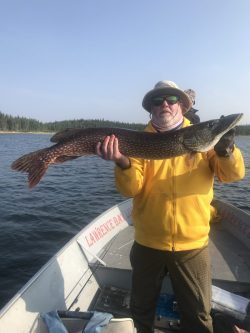 A person in a yellow jacket holds a large fish on a boat in a lake with trees in the background.