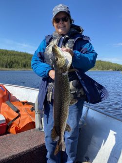 A person standing in a boat on a lake holds a large fish, with trees and blue sky in the background.
