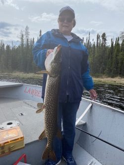 Person standing in a boat holding a large fish with trees and water visible in the background.
