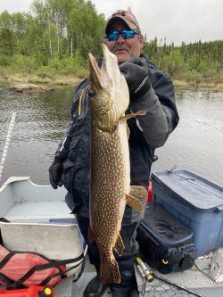 Person in outdoor gear holds a large northern pike fish on a boat with a forest and water in the background.