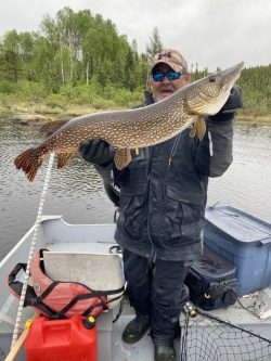 A man in outdoor gear holds a large northern pike fish on a boat with fishing equipment and trees in the background.