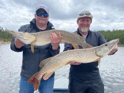 Two men standing on a boat hold large northern pike fish with a lake and trees in the background.
