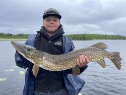 A person holding a large northern pike fish on a cloudy day by a lake with trees in the background.