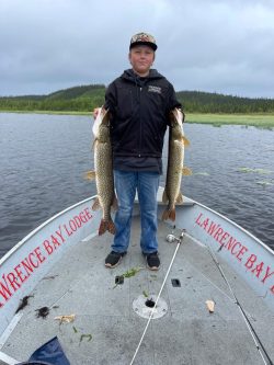 A person stands on a boat holding two large fish, with a lake and forest in the background.