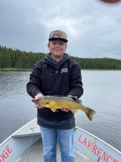 A person standing on a boat holds a yellow fish in both hands, with a lake and pine trees in the background.