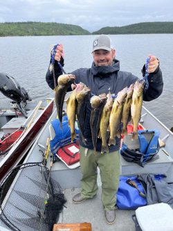 A man stands on a boat holding up a string of several caught fish with a lake and forested shore in the background.