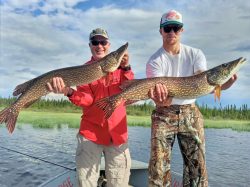 Two men standing in a boat, each holding a large northern pike fish in front of a lake and forested background.
