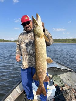 Man in camouflage shirt and red hat holding a large fish on a boat in a lake, with trees in the background.