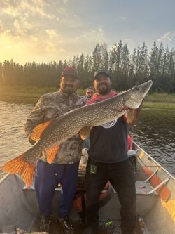 Two men on a boat hold a large fish, with trees and water visible in the background at sunset.
