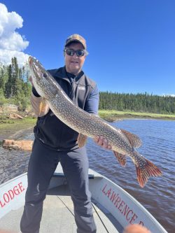 Man standing on a boat holds a large fish with both hands on a sunny day near a wooded shoreline.